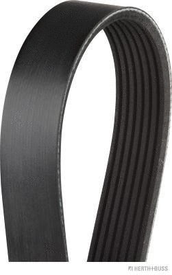 V-Ribbed Belt (J1071675)