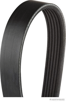 V-Ribbed Belt (J1061910)