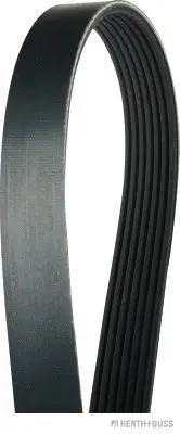 V-Ribbed Belt (J1071740)