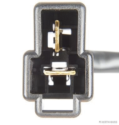 Brake Master Cylinder (J3106007)