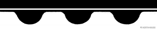 Timing Belt (J1125019)