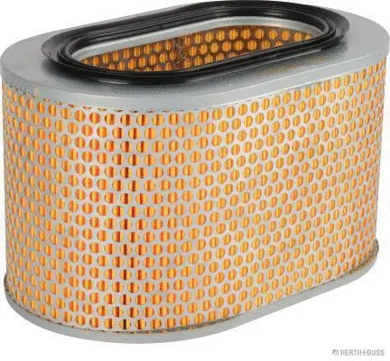 Air Filter (J1325008)