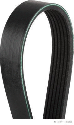 V-Ribbed Belt (J1061590)