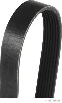 V-Ribbed Belt (J1071165)