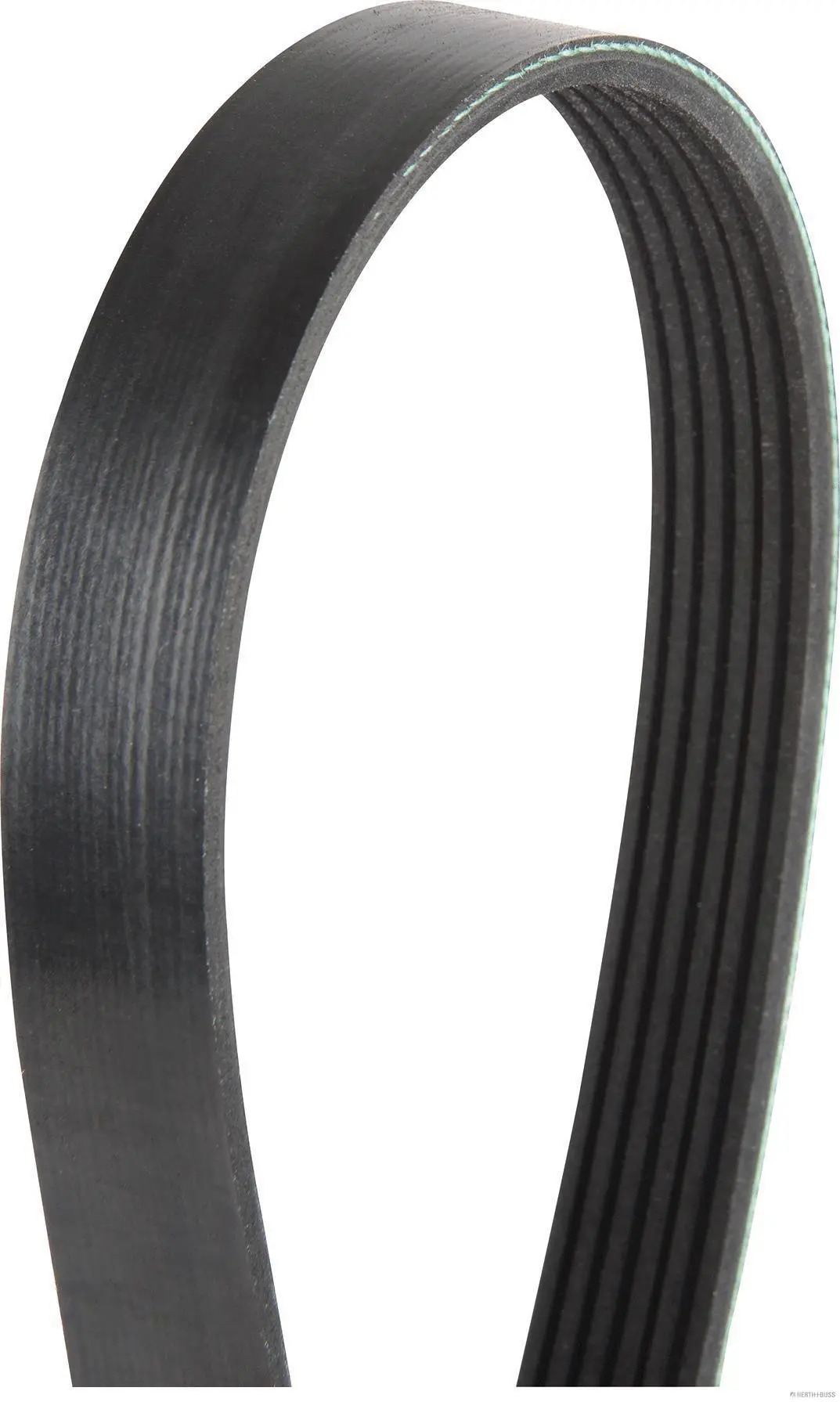 V-Ribbed Belt (J1062063)