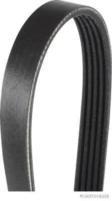 V-Ribbed Belt (J1051453)