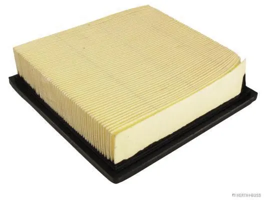 Air Filter (J1324030)