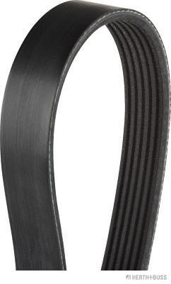 V-Ribbed Belt (J1062093)