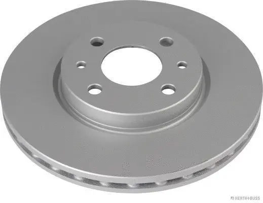 Brake Disc (J3300801)
