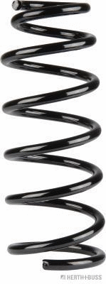 Suspension Spring (J4411017)