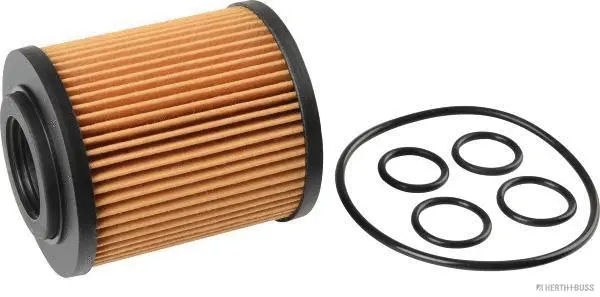 Oil Filter (J1310912)