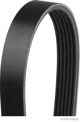 V-Ribbed Belt (J1061325)