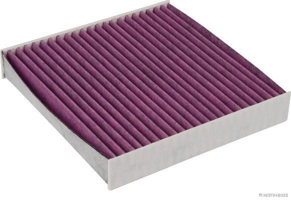 Filter, cabin air (J1344007BF)