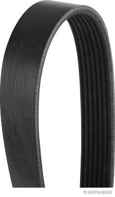 V-Ribbed Belt (J1071223)