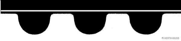 Timing Belt (J1121033)
