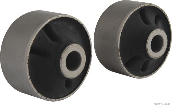 Mounting, control/trailing arm (J4200528)