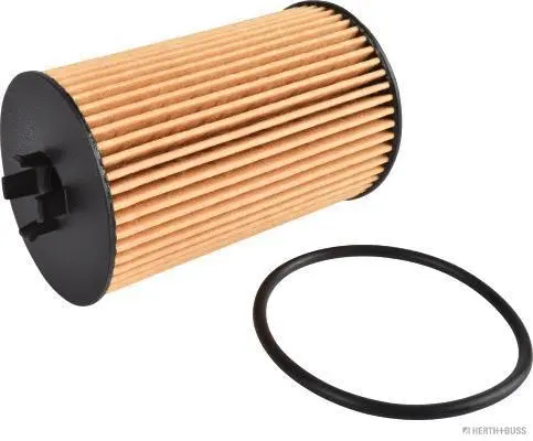 Oil Filter (J1310906)