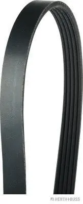 V-Ribbed Belt (J1050895)