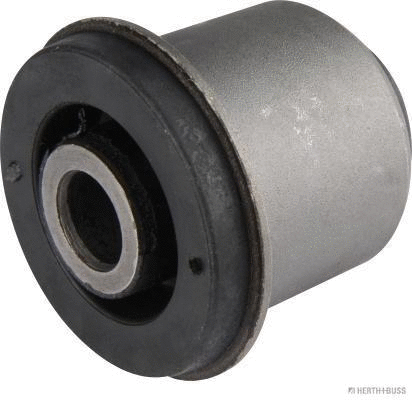 Mounting, control/trailing arm (J4220321)