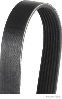 V-Ribbed Belt (J1071088)