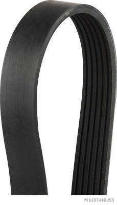 V-Ribbed Belt (J1061693)