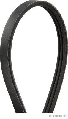 V-Ribbed Belt (J1030750)
