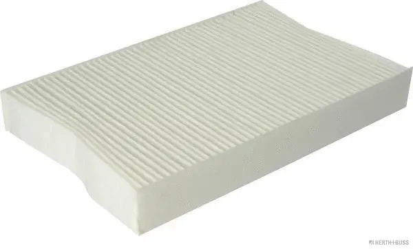 Filter, cabin air (J1341028)