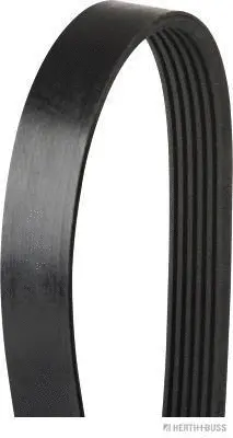 V-Ribbed Belt (J1061548)