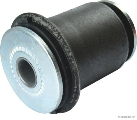 Mounting, control/trailing arm (J4202127)