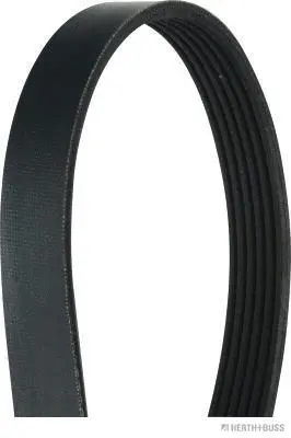 V-Ribbed Belt (J1060925)