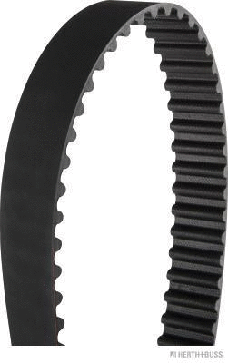 Timing Belt (J1124048)