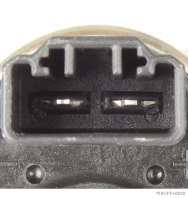 Fuel Pump (J1600509)