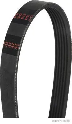 V-Ribbed Belt (J1061685)