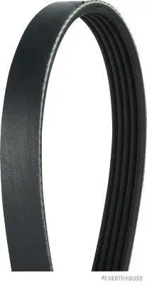 V-Ribbed Belt (J1050915)