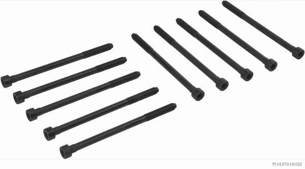 Cylinder Head Bolt Set (J1285020)