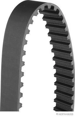 Timing Belt (J1128018)
