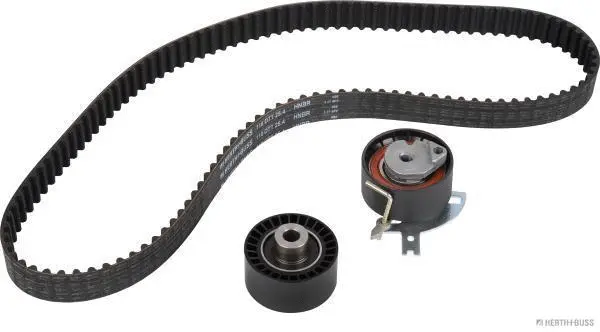 Timing Belt Kit (J1115100)