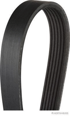 V-Ribbed Belt (J1061973)