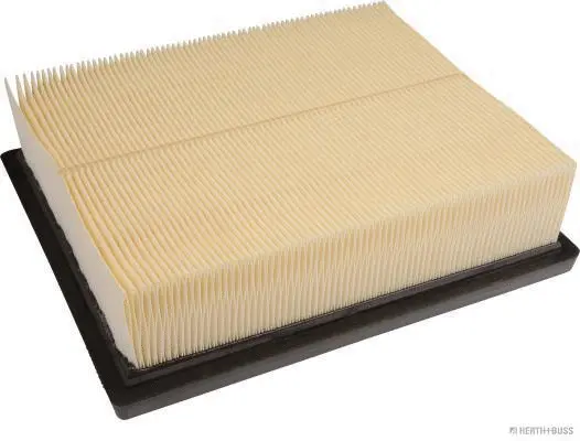 Air Filter (J1325060)