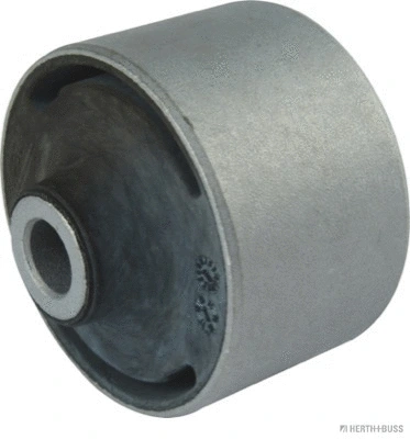Mounting, control/trailing arm (J4200523)