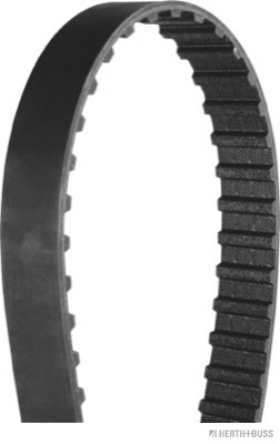 Timing Belt
