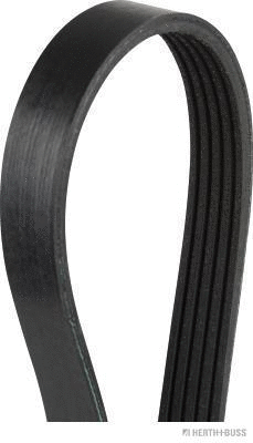 V-Ribbed Belt (J1051425)