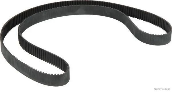 Timing Belt