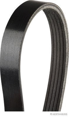 V-Ribbed Belt (J1050694)