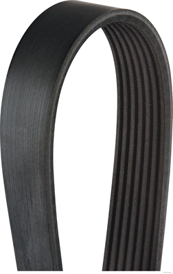 V-Ribbed Belt (J1072060)