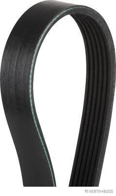 V-Ribbed Belt (J1061245)