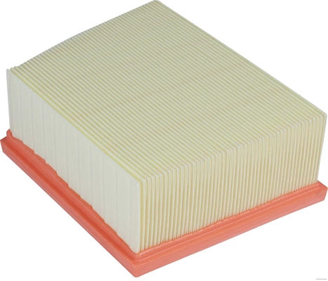 Air Filter (J1320866)