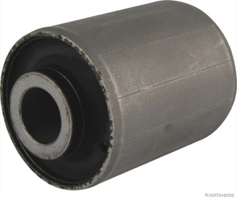Mounting, control/trailing arm (J4200330)