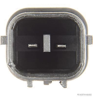 Brake Master Cylinder (J3104102)