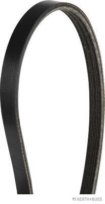 V-Ribbed Belt (J1030881)